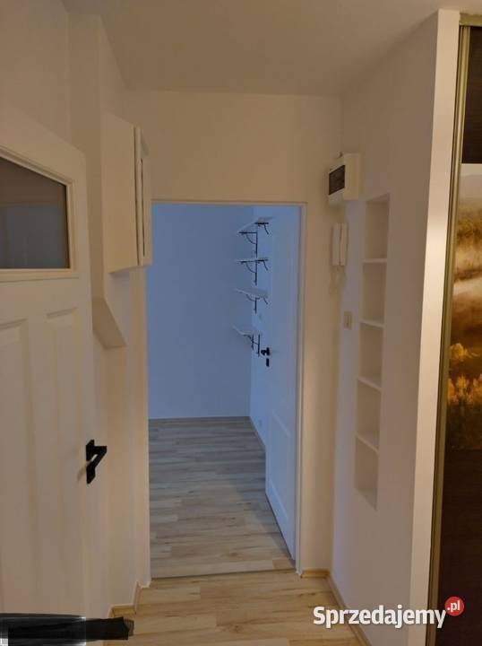 2pok 35met Bacciarellego PIWNICA Wrocław dolnośląskie sprzedam