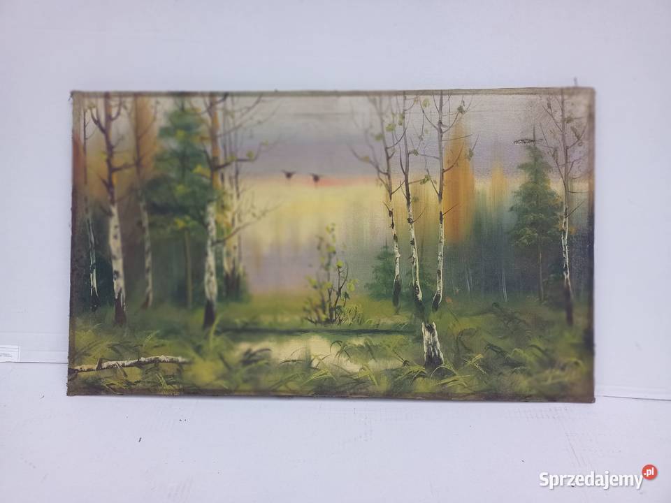 Obraz pejzaż na płótnie Zabrze