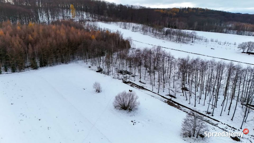 sprzedaży gruntu 1900 metrów Besko