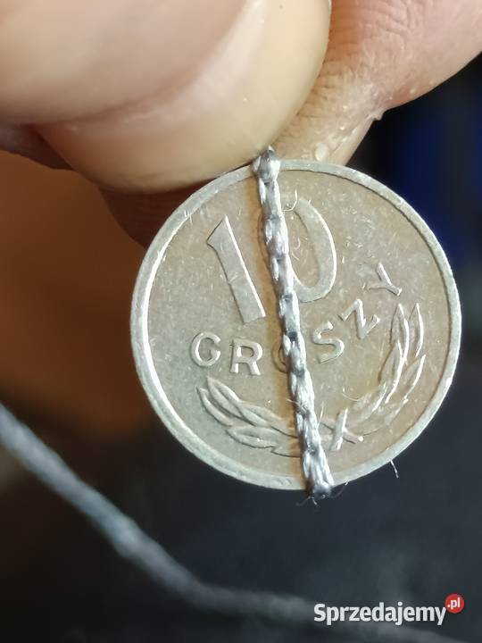 Sprzedam 10 gr 1981 r lekka skretka zzzz Chełm