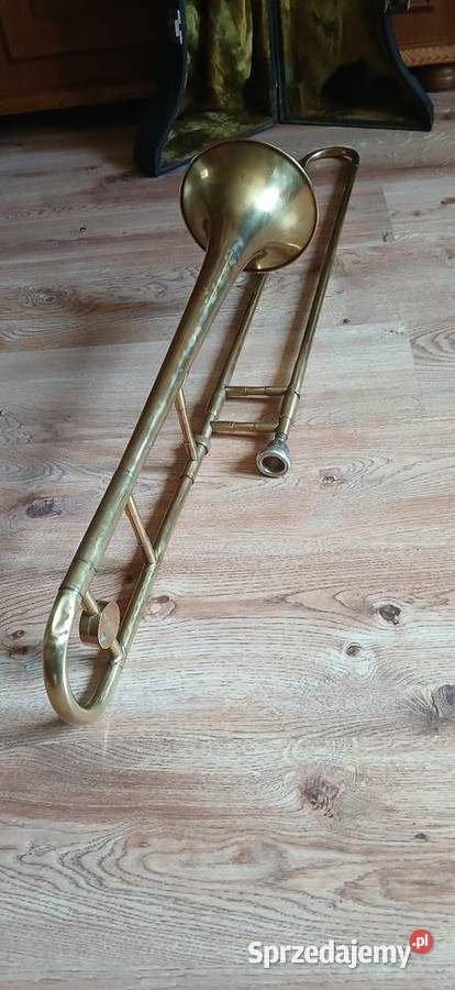 Puzon z futeralem Kraków