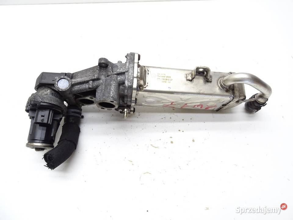 CHŁODNICA CHŁODNICZKA SPALIN EGR CFG 03L131512CF osobowe Recyrkulacja spalin EGR