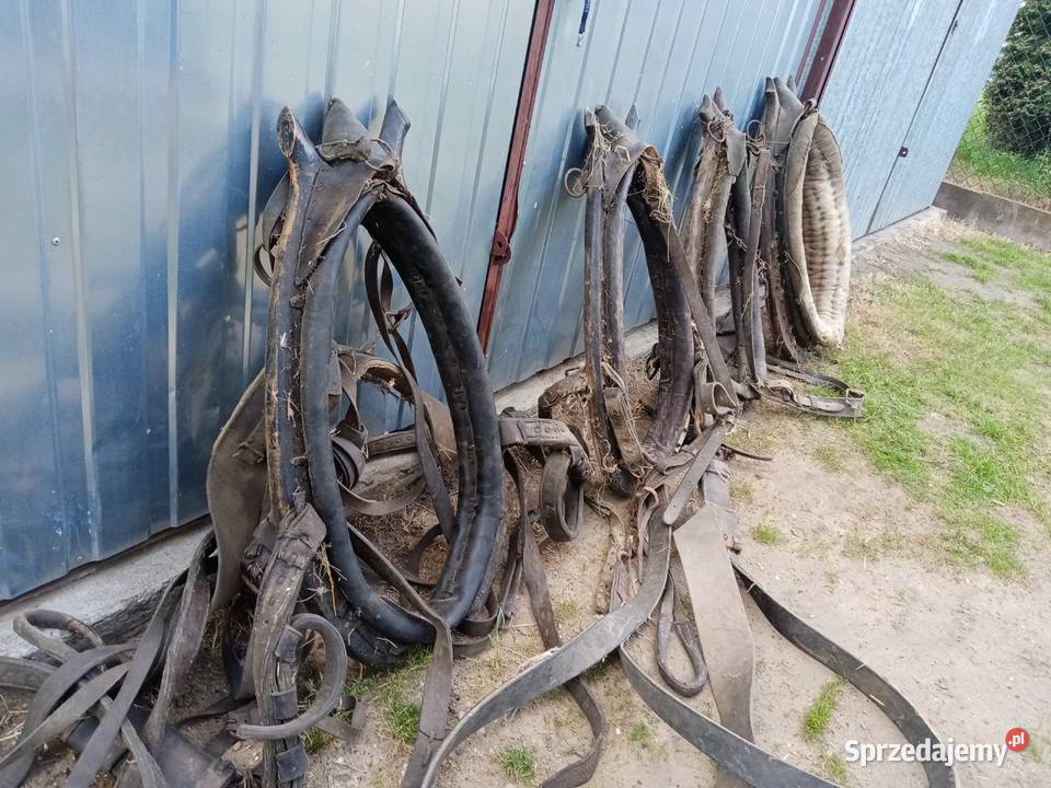 Homonta Rękodzieło mazowieckie Pionki