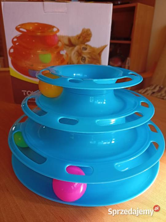 Zabawka kota kujawsko-pomorskie