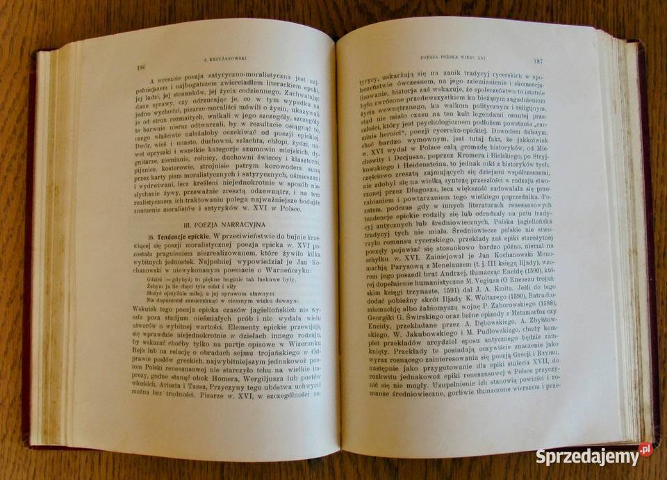 Dzieje literatury w Polsce Z Encyklopedii lubelskie Bychawka Trzecia