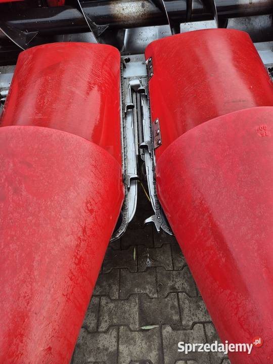 przystawka do kukurydzy geringhoff msh Buk sprzedam