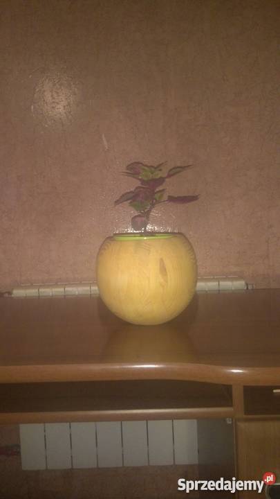 Doniczka kula drewniana wisząca stojąca wielkopolskie Gostyń sprzedam