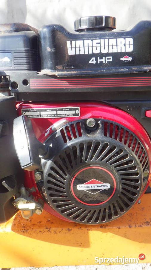 Rębak SpalinowY Briggs Stratton Rozdrabniacz do Rzeszów
