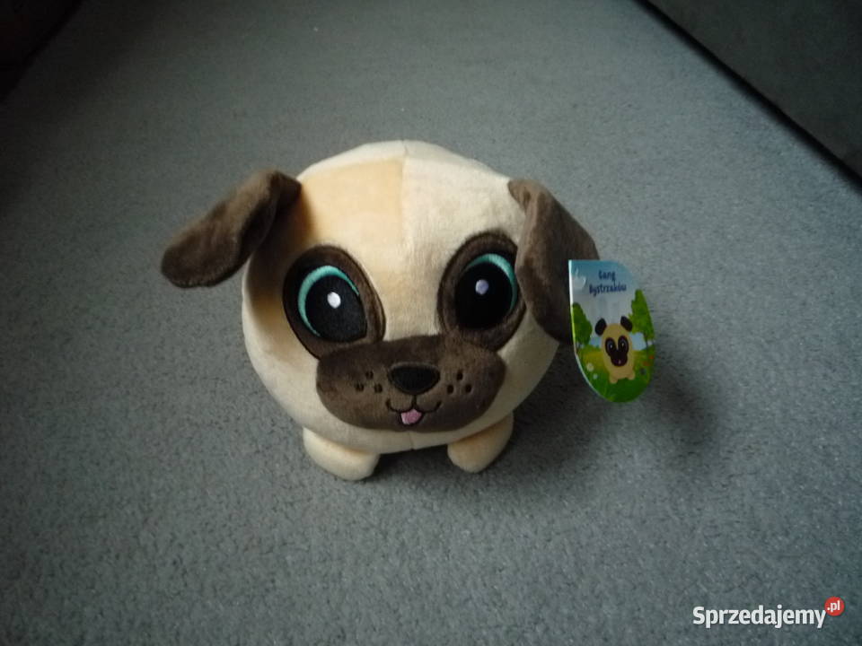 Gang bystrzaków pies Dżipies Maskotka z Szczecin