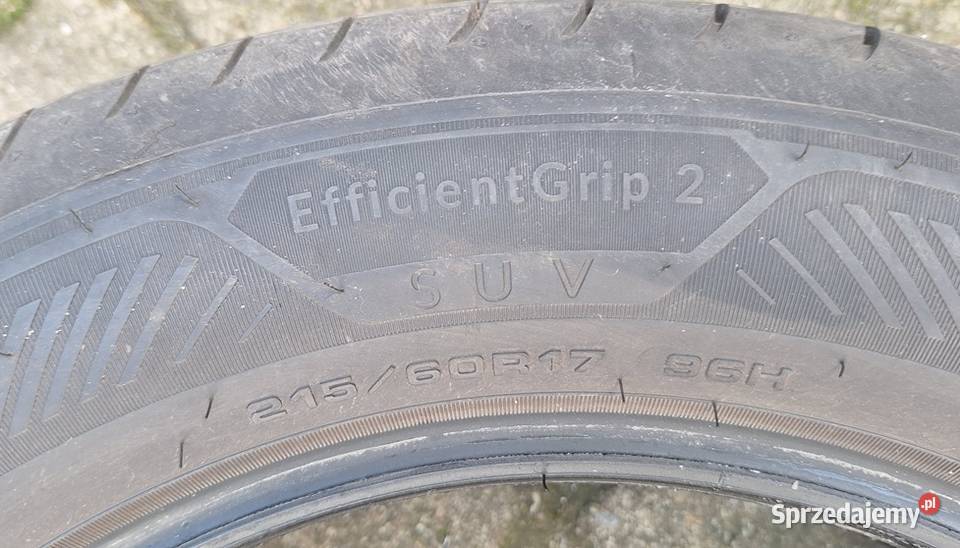 Opony letnie 2156017 Goodyear Efficient Grip 2 215 Bydgoszcz