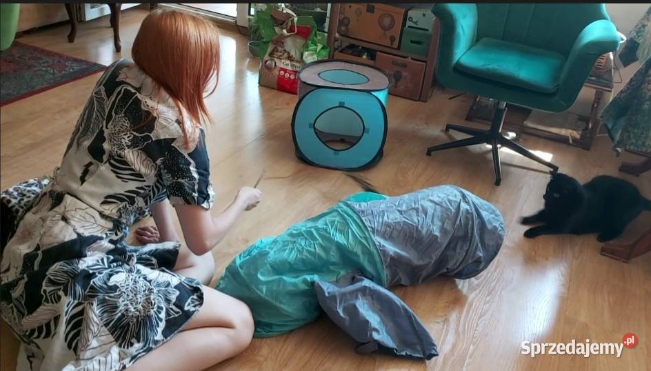 opieka kotem cat sitter Warszawa Ursynów mazowieckie