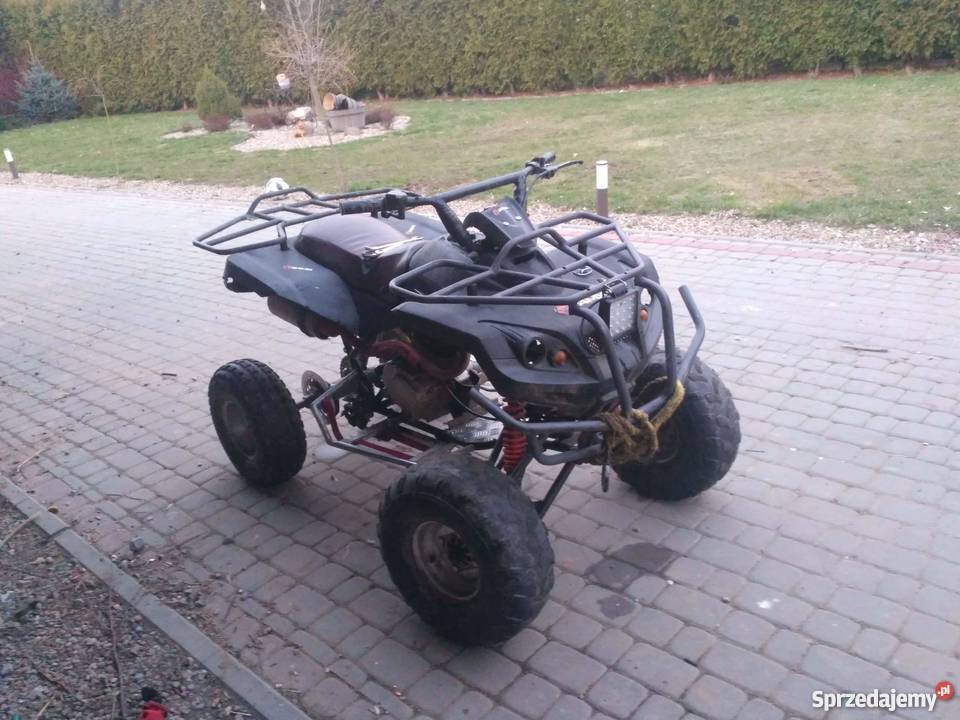 Bashan 250 swap benzyna