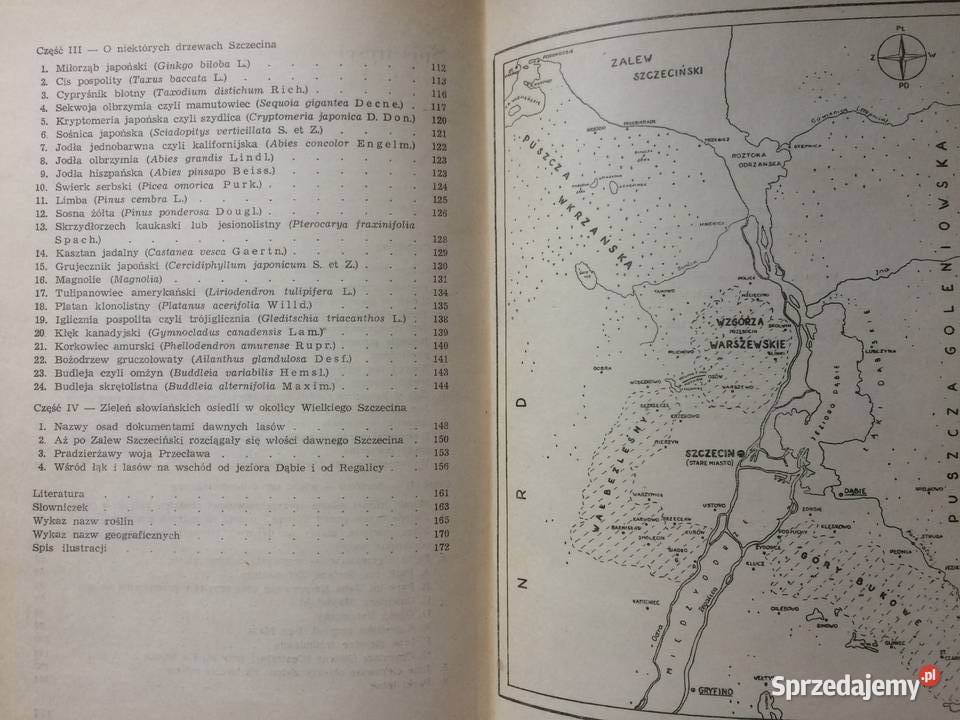 3302 Szczecin Miasto Parków I Zieleni zachodniopomorskie