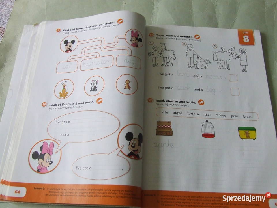 English Adventure Poziom 1 Odpowiedzi New English Adventure Zeszyt ćwiczeń /Go for Poland Activity Oborniki