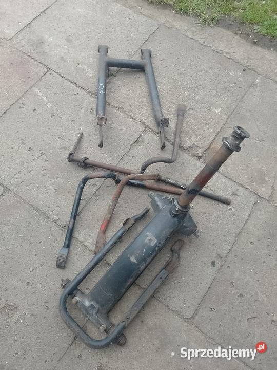 Mz trophymz jaskółka Bełchatów