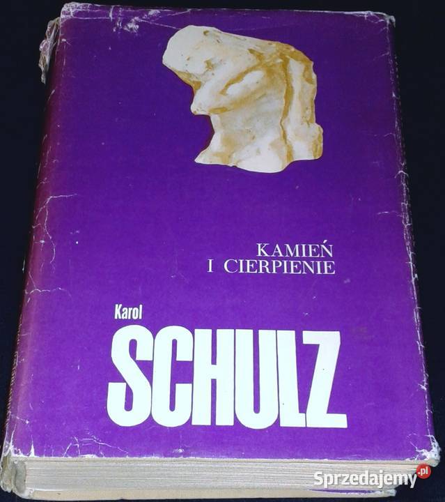 Kamień i cierpienie Karol Schulz Chełm