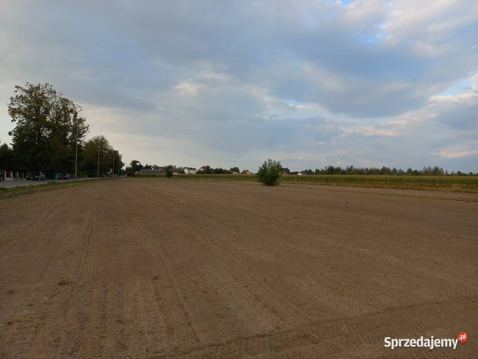 GLEBOGRYZARKA SEPARACYJNA USŁUGI SEROKOMLA Projektowanie i zakładanie ogrodów