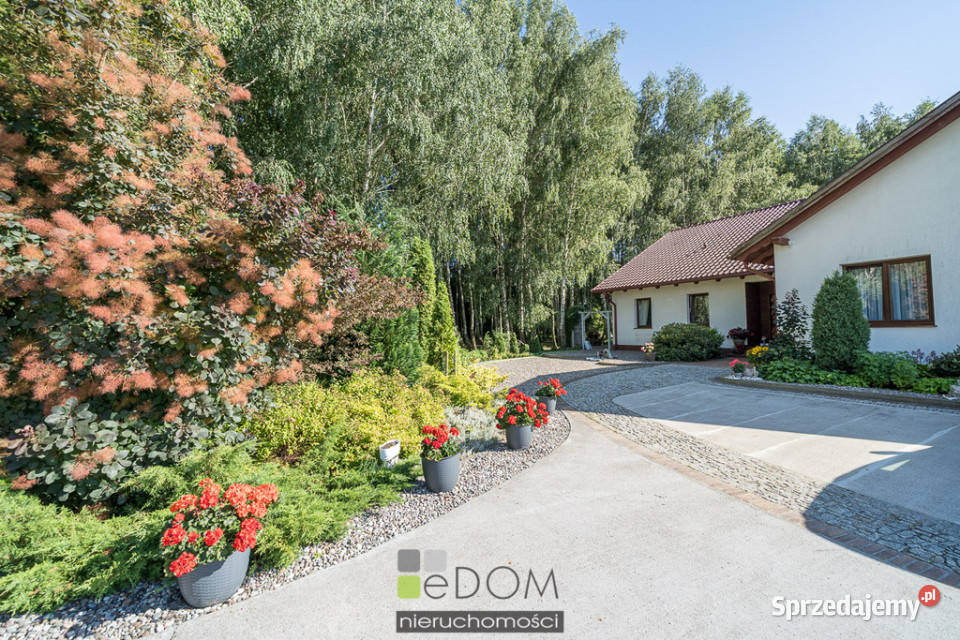 Dom wolnostojący sprzedam 18737m2 Deszczno lubuskie