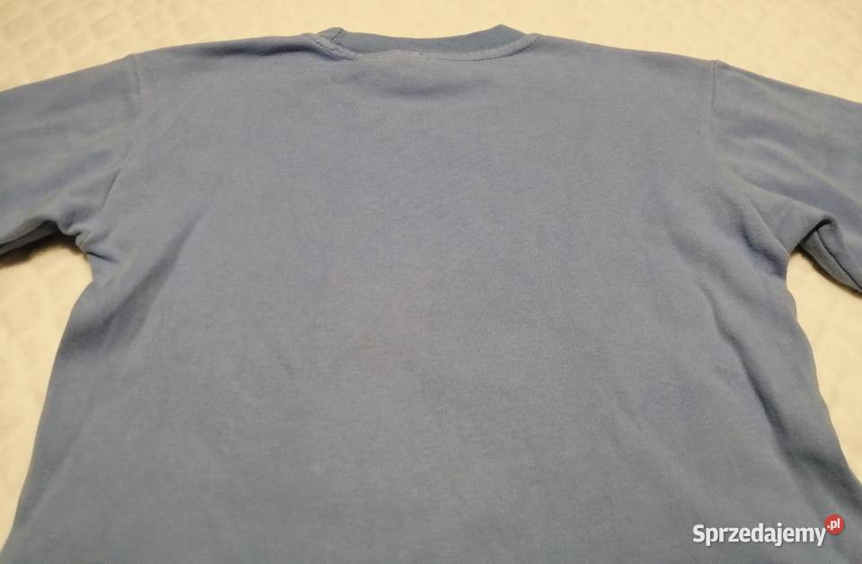 Bluza długi rękaw Milano 116 SpiderMan Odzież Bluzy