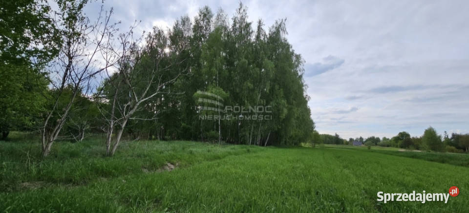 Malownicza działka budowlana na sprzedaż lubelskie Wólka Rokicka-Kolonia sprzedam