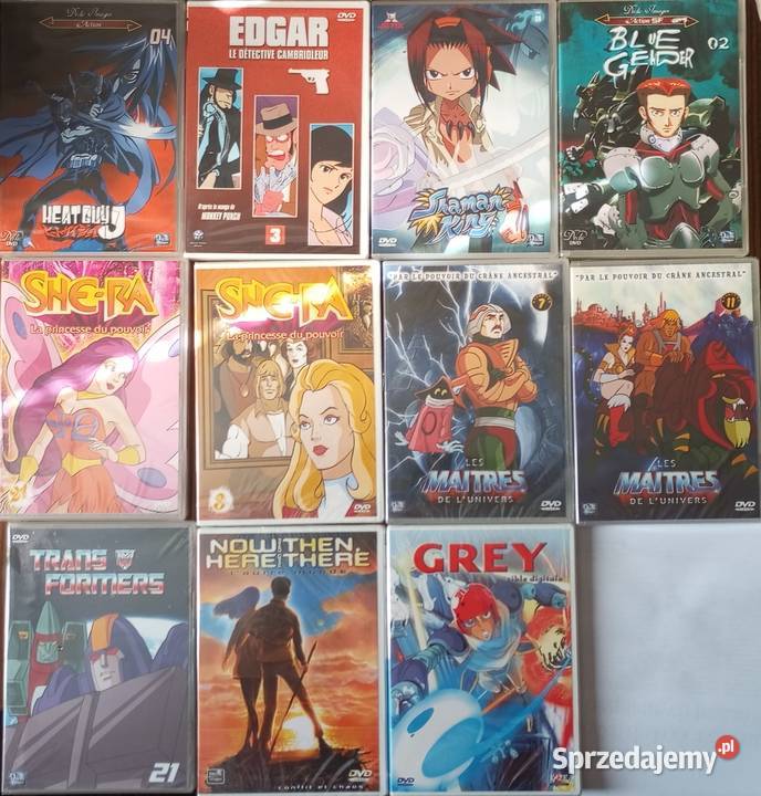 11x DVD anime manga FRANCUSKIE FOLIA SheRa Heman animowany Filmy