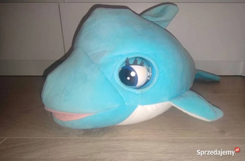 Delfinek interaktywny Blu Blu Kraków