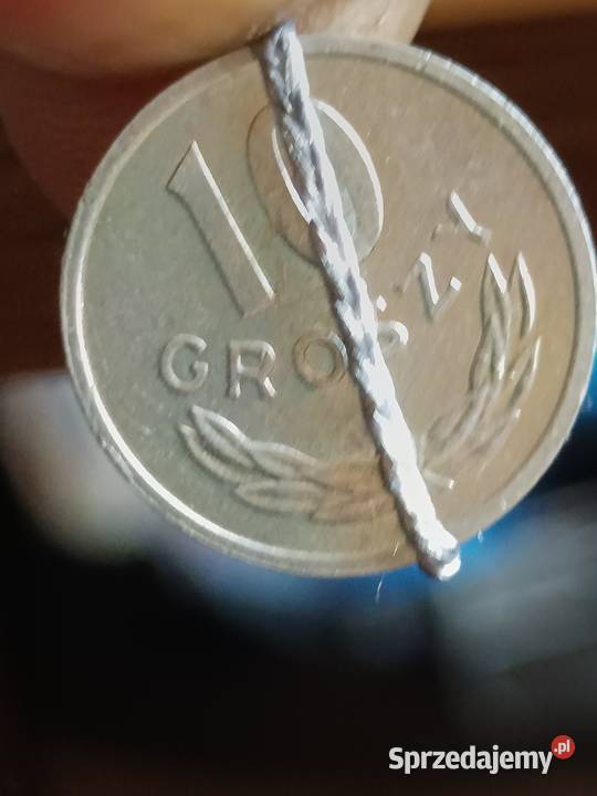 Sprzedam 10 gr 1981 r skretka Chełm sprzedam