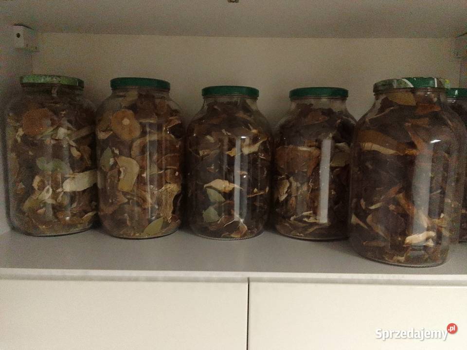 Grzyby suszone kujawsko-pomorskie Rypin