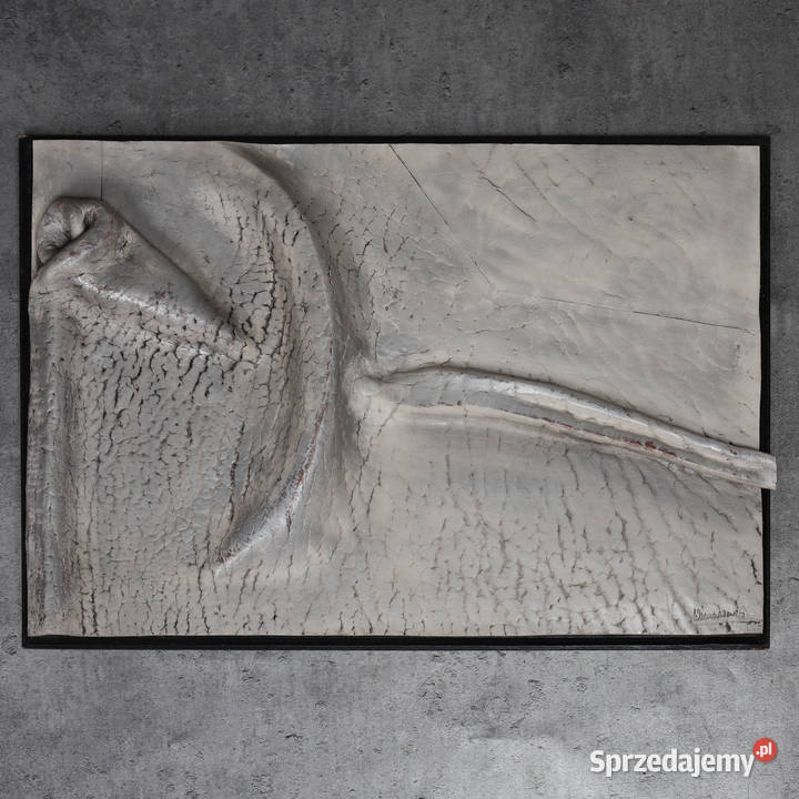 ARTexpert Włodzimierz Wieczorkiewicz Dobrzany sprzedam