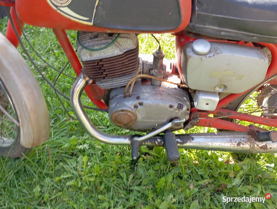 Cz 175 Sport z dozownikiem Kałuszyn