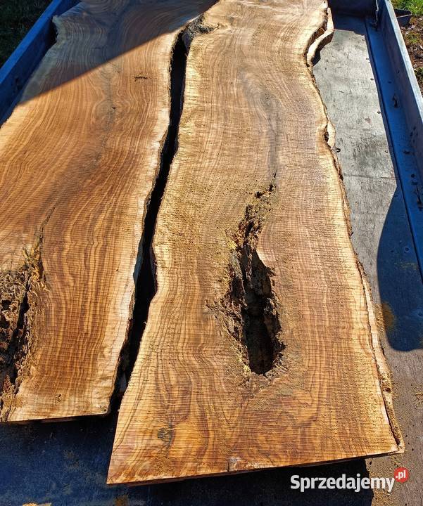 Oliwkadeskiplastry pieńki Mielec