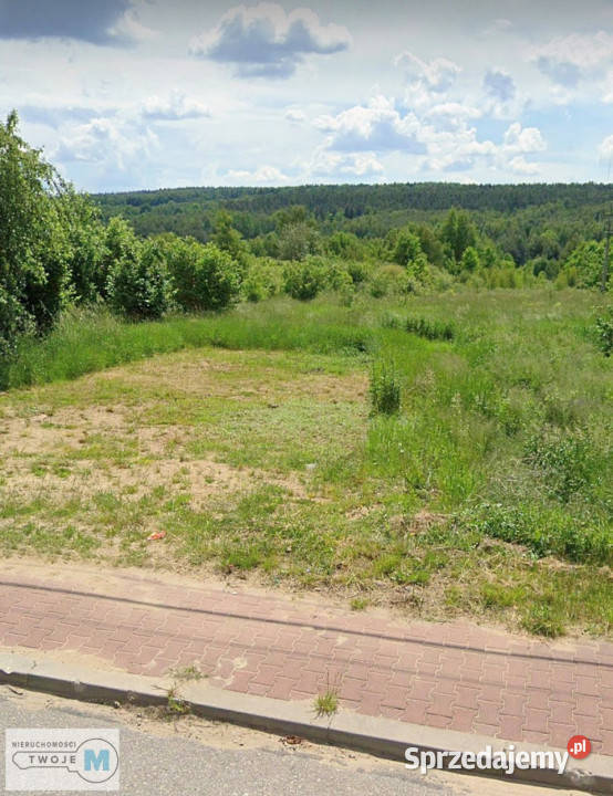 sprzedaży działki Mniów 5000 metrów