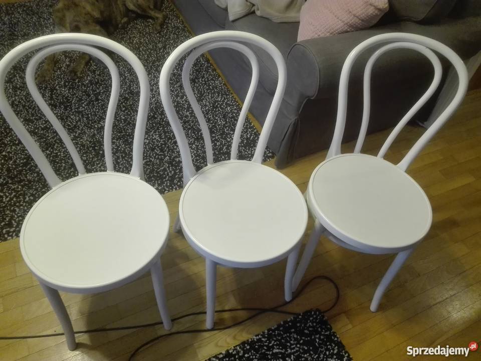 Krzesła plastikowe do kuchni tam gdzie je Stoły, krzesła, biurka Grodzisk Mazowiecki