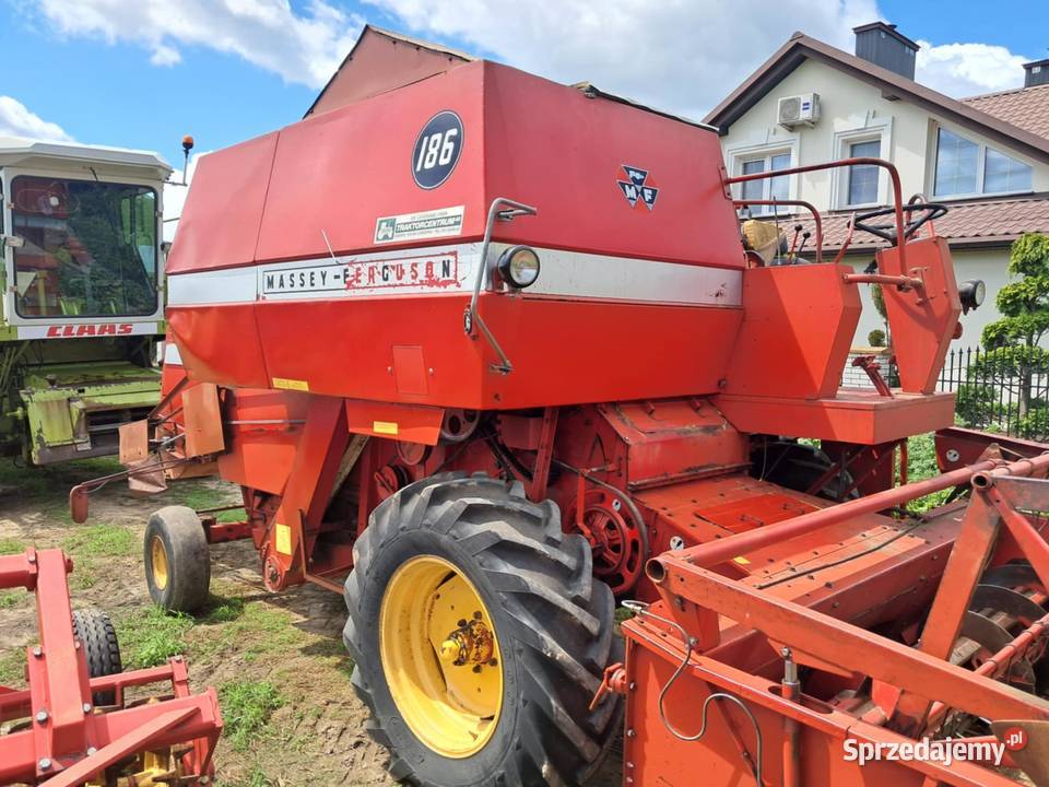 Kombajn zbożowy Massey Ferguson 186 z Skaryszew