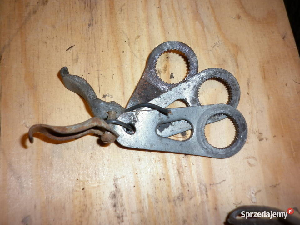 komar ciągło Pogorzela