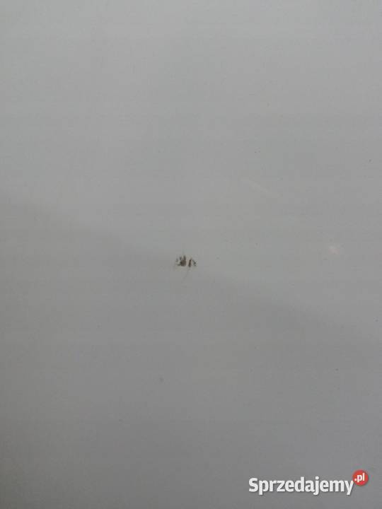 DRZWI LEWE PRZÓD DV369 Renault Scenic III 2009 Karoseria