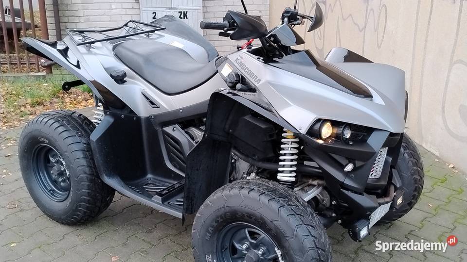 Cectek 500 4x4 dok Access Sym Goes Kayo Quady quad - ATV CECTEK Nowy Dwór Mazowiecki
