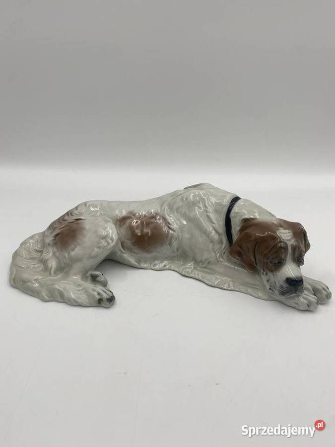 Porcelanowa figura Lężący pies Rosenthal Selb ok Porcelana i szkło Poznań