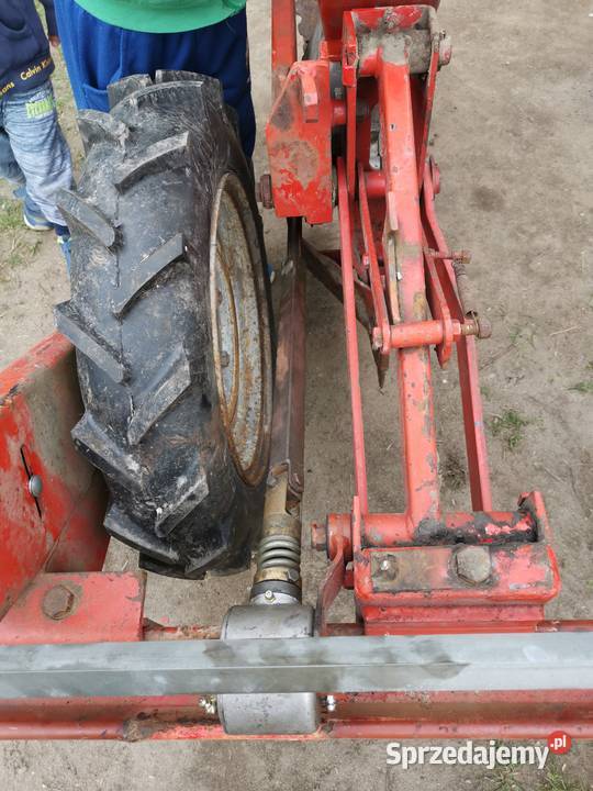 Siewnik Lely do dyń dyni kukurydzy słonecznika lubelskie