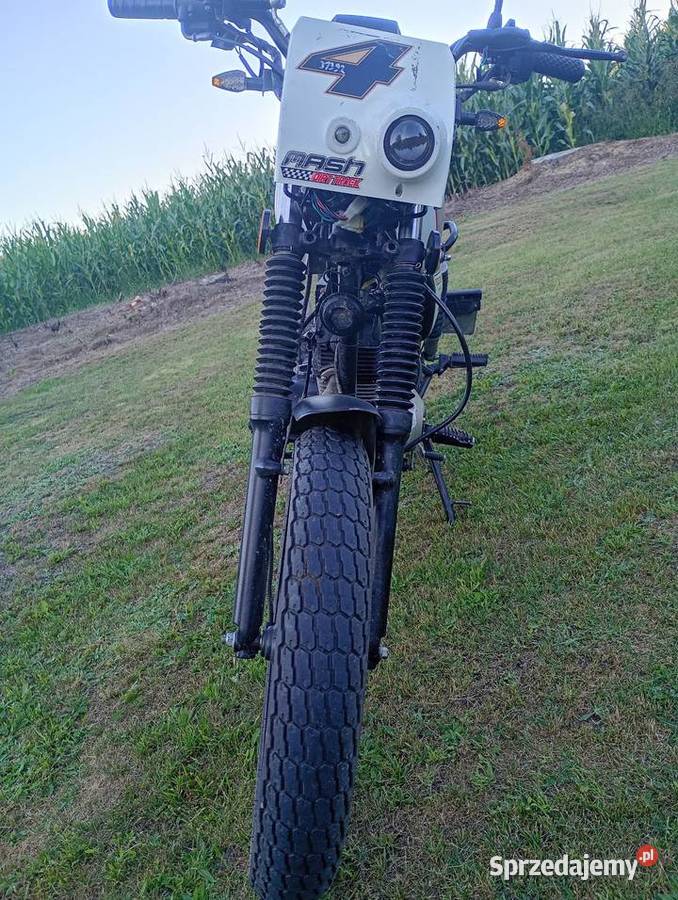 mash dirt track 50 2019 50cm3