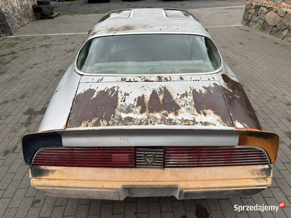 Pontiac Firebird Trans Am Pontiac Firebird 1981 Rok produkcji 1981 lubuskie Sulechów