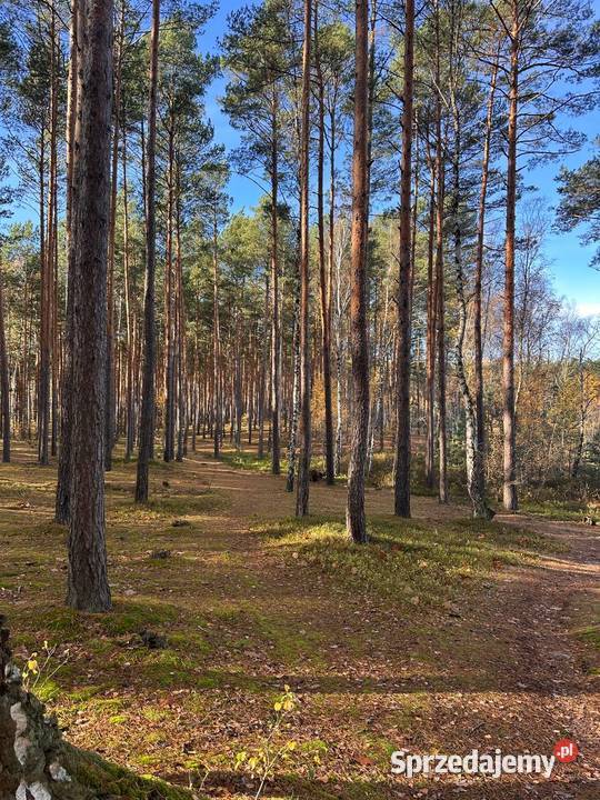 Działka budowlana kolorowe jeziorka budowlana sprzedam
