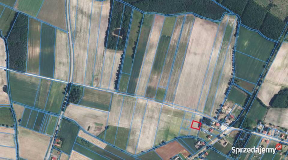 Działka 1400 m z warunkami zabudowy Ujeździec Ujeździec Mały