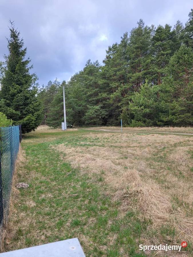 Działka Wzdłuż ściany 80letniego lasu PRĄD