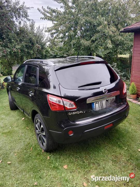 sprzedam qashqaia 16 Izbica Kujawska