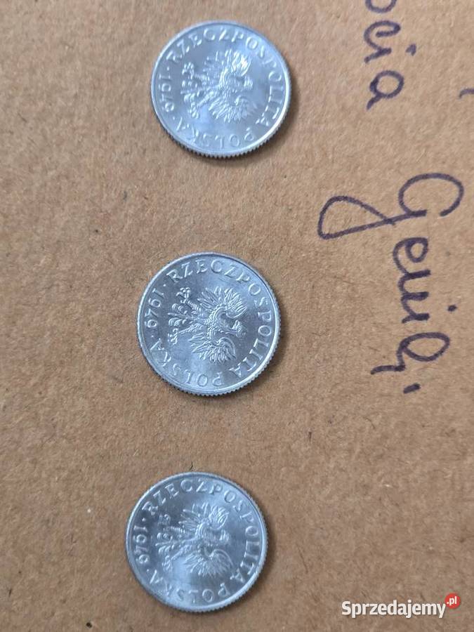 Moneta 1 grosz 3 sztuki z 1949r w doskonałym Numizmatyka świętokrzyskie Busko-Zdrój