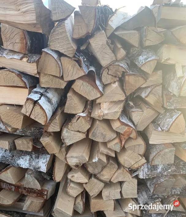Różne rodzaje drewna opałowegokominkowego Biskupiec