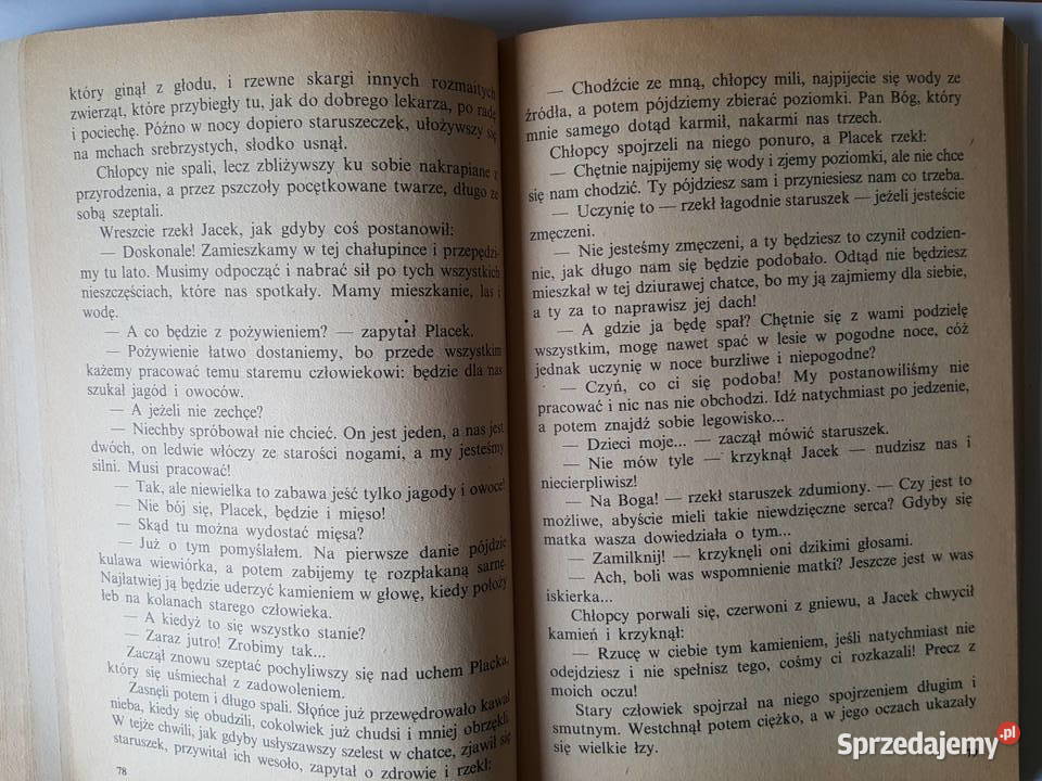 Powieść młodzieży O DWÓCH TAKICH CO UKRADLI Beletrystyka, powieści Złotniki