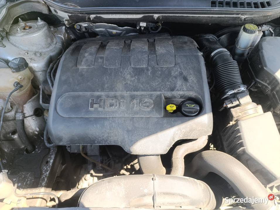 Citroen C5 20 HDI 140 bez Hydro Rok produkcji 2011 Gostyń