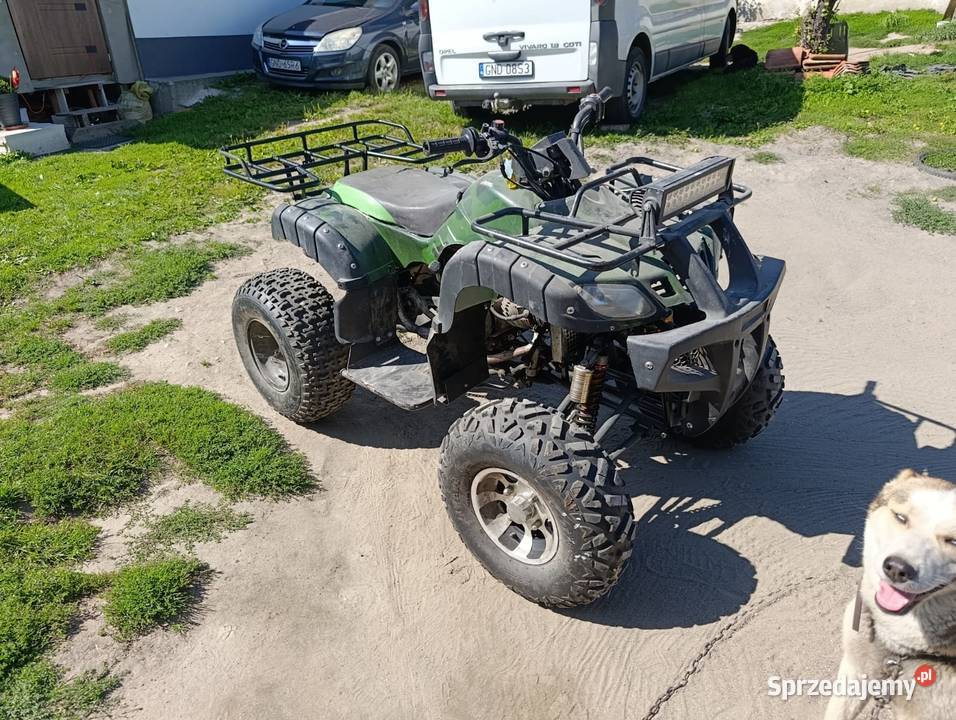 Quad rama XXL 200cc automat quad - ATV Motoryzacja Tujsk